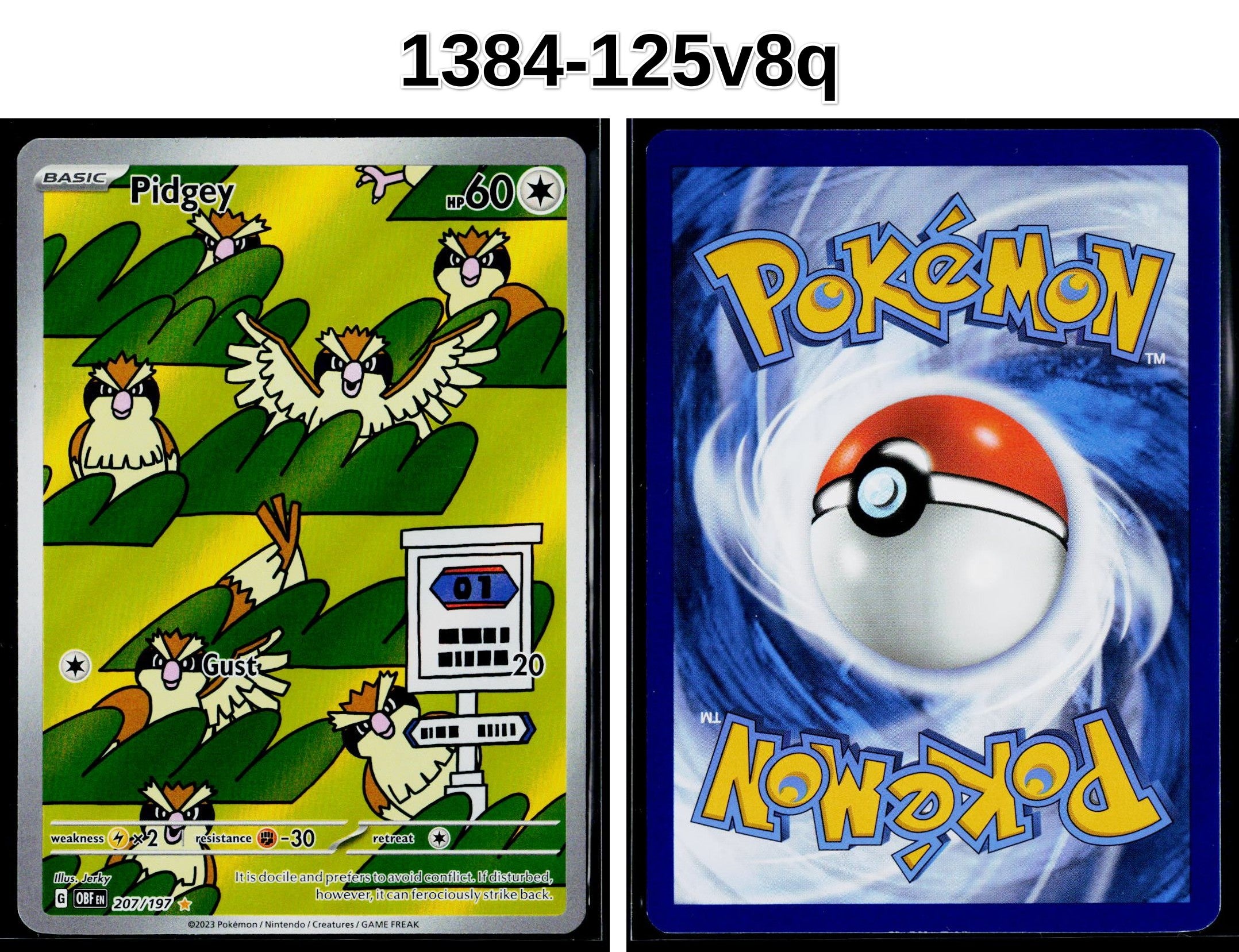Front + Back scan