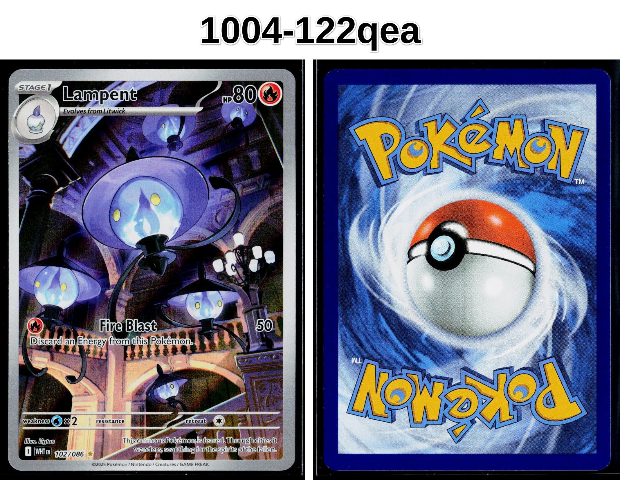 Front + Back scan