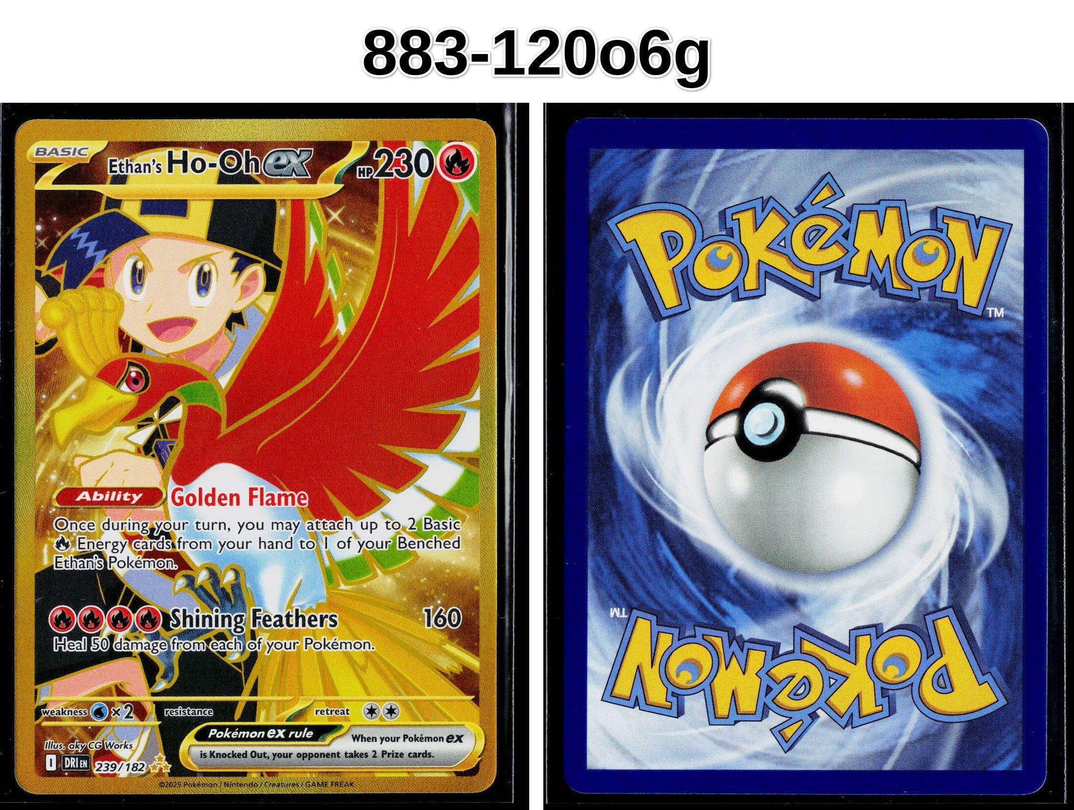 Front + Back scan