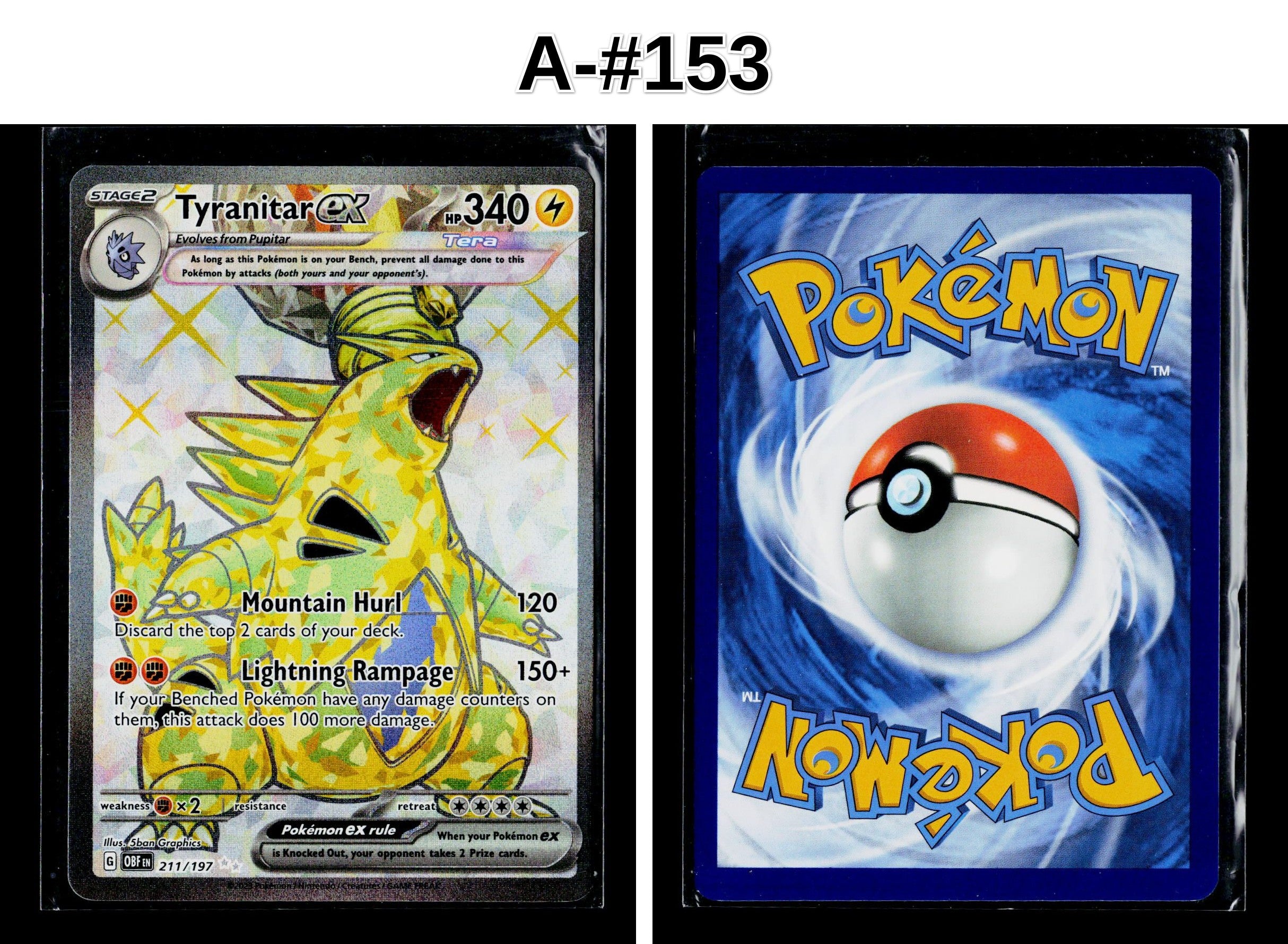 Front + Back scan