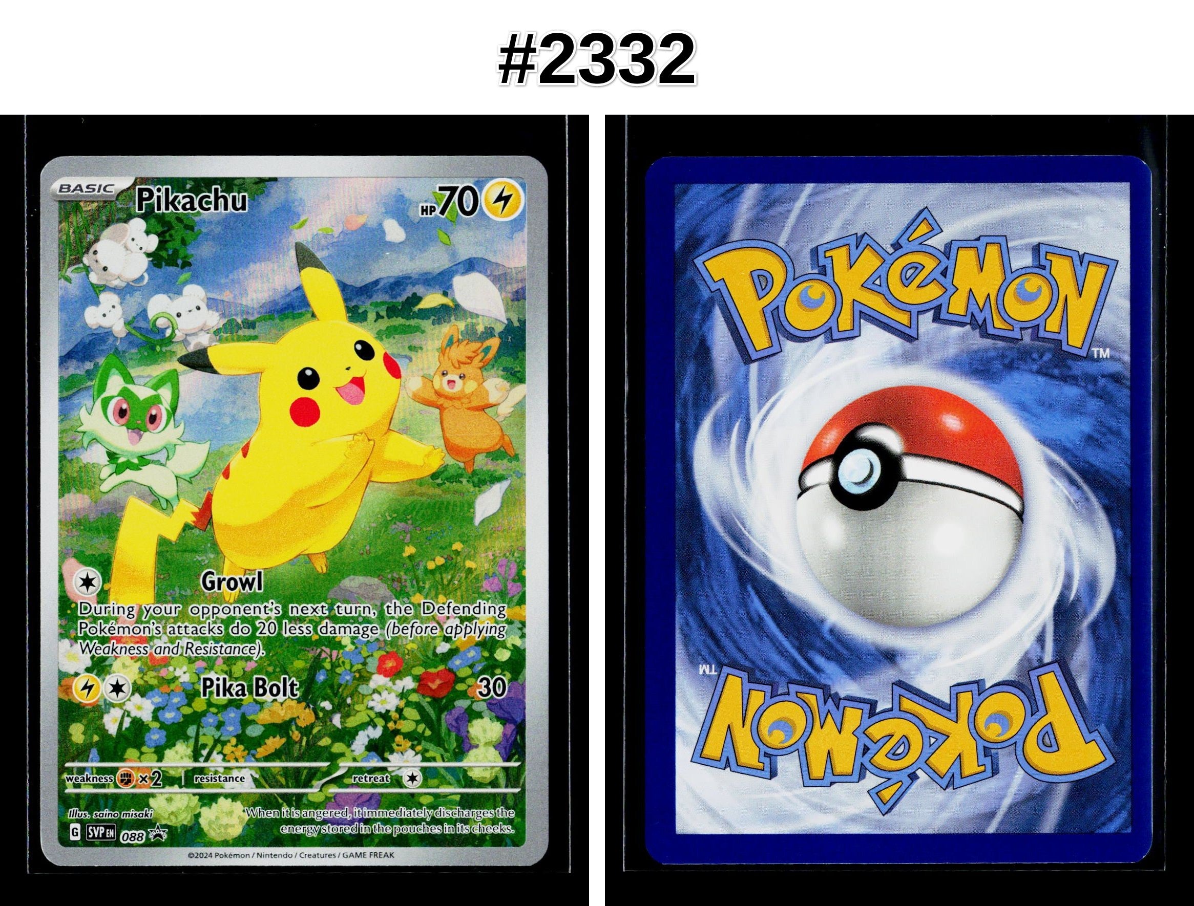 Front + Back scan