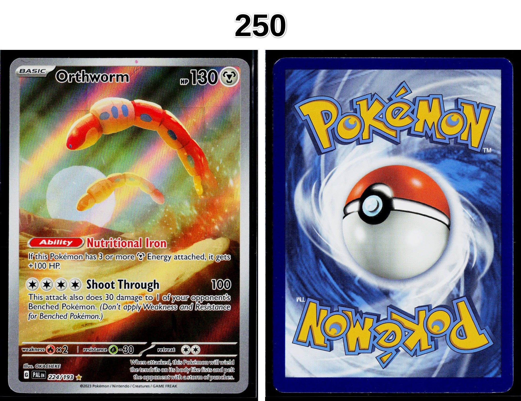 Front + Back scan