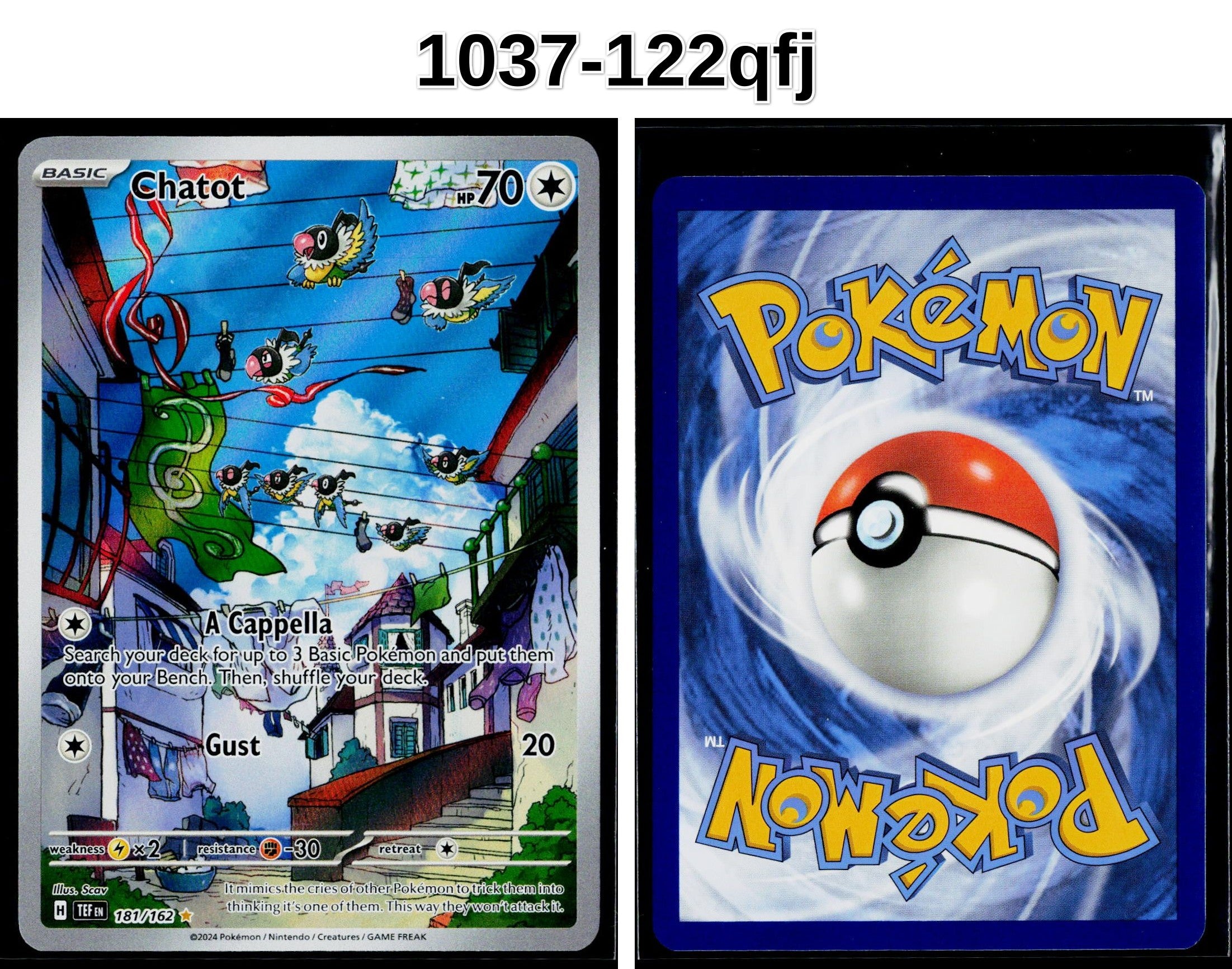 Front + Back scan