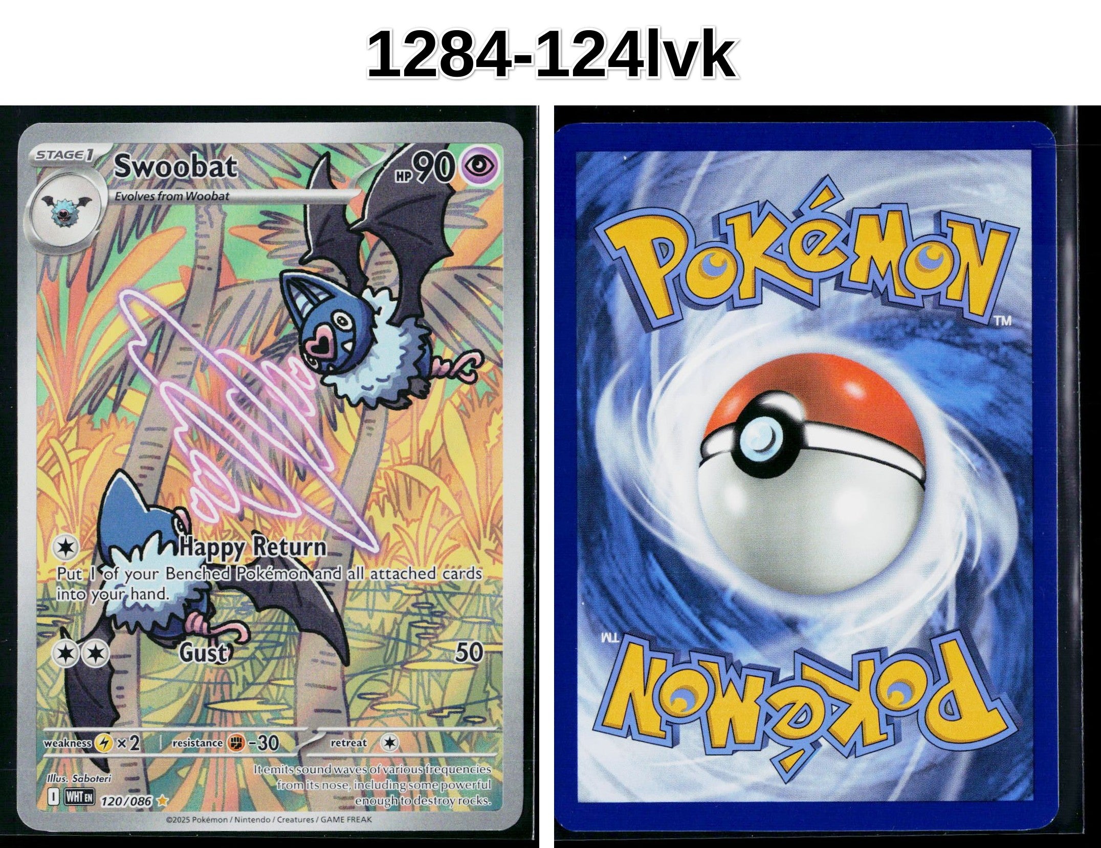 Front + Back scan