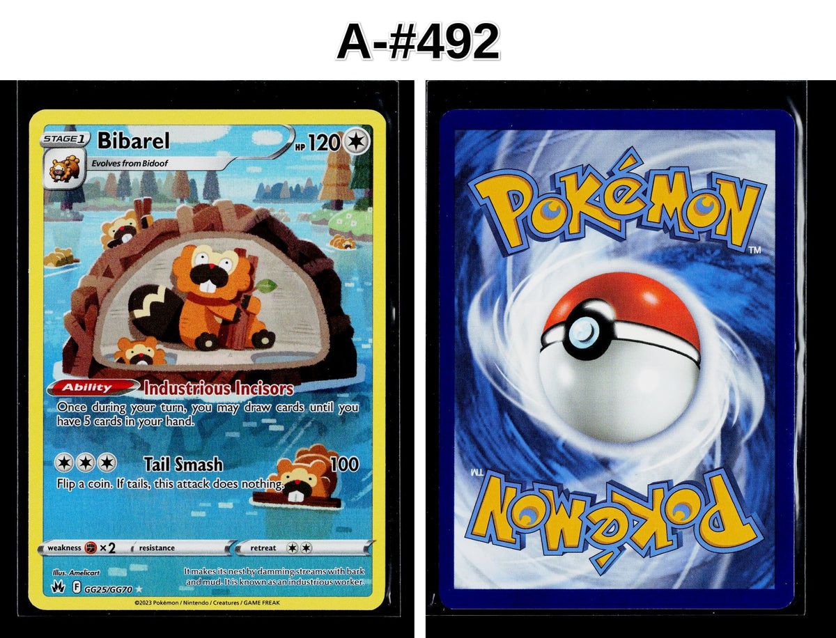 Front + Back scan