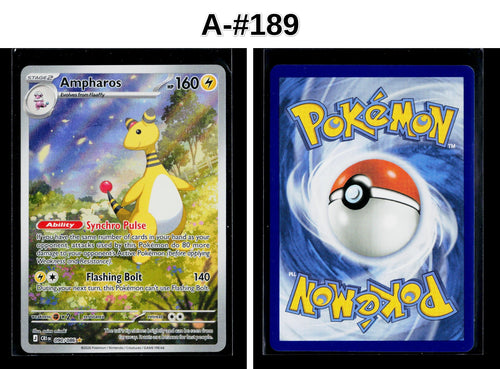 Front + Back scan