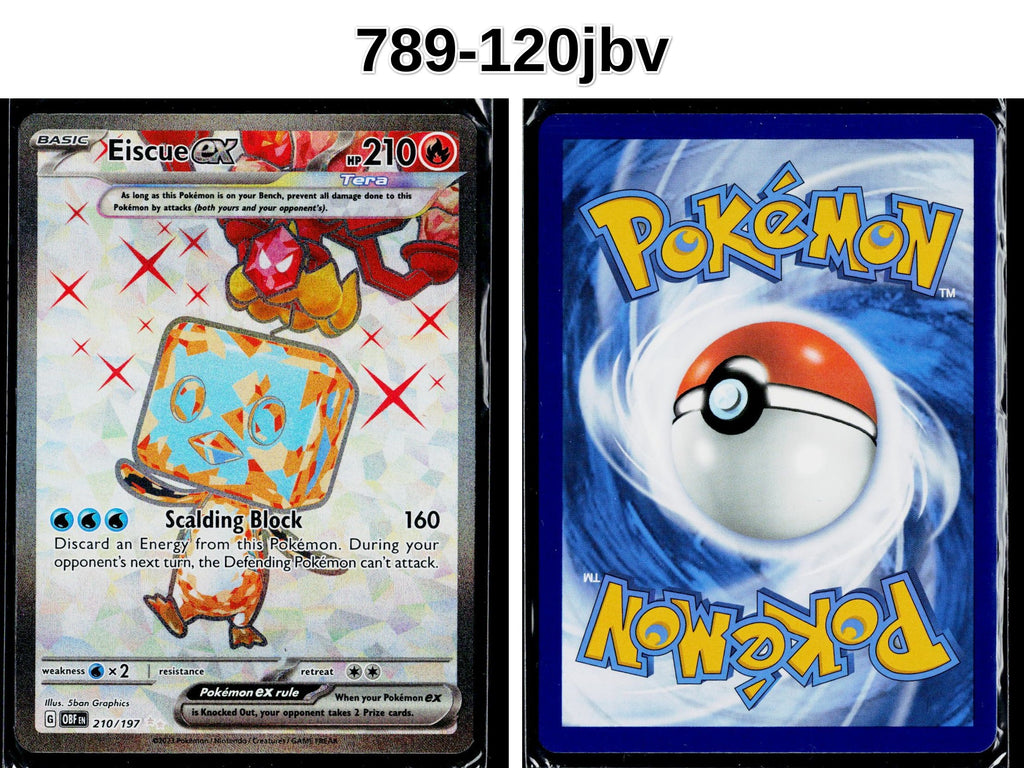 Front + Back scan