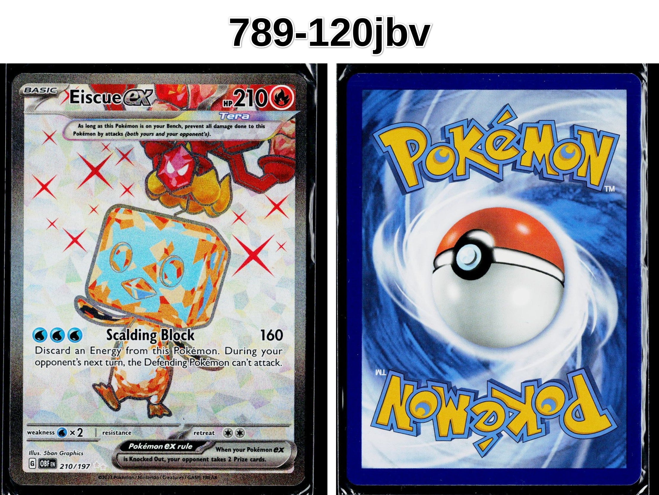 Front + Back scan