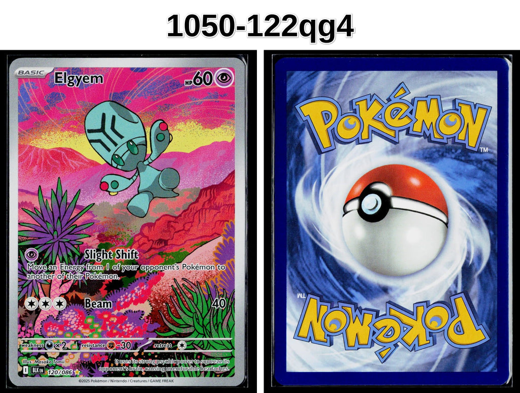 Front + Back scan
