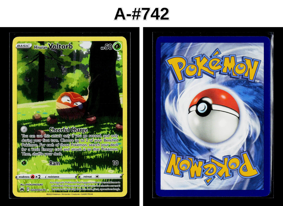Front + Back scan