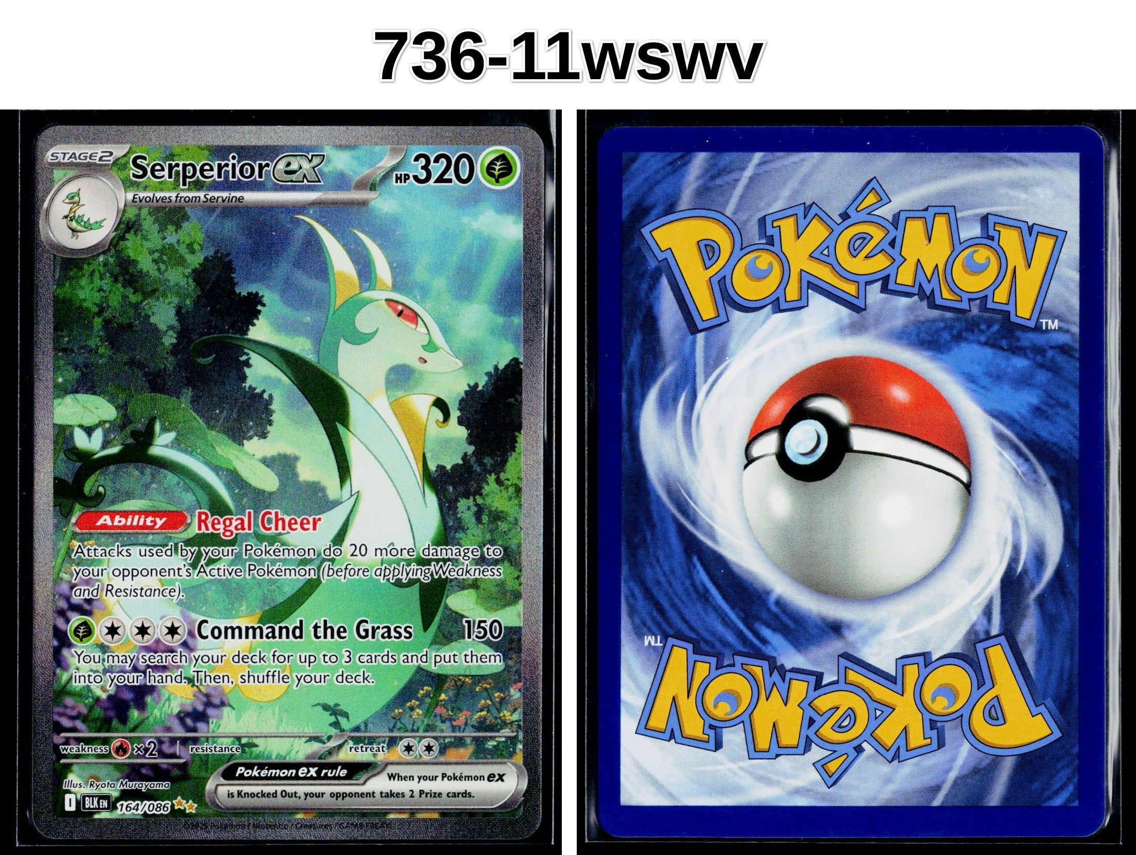 Front + Back scan