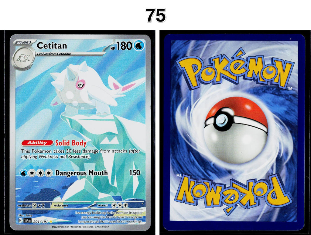 Front + Back scan