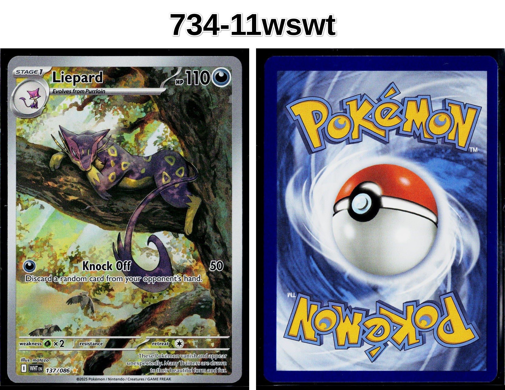 Front + Back scan
