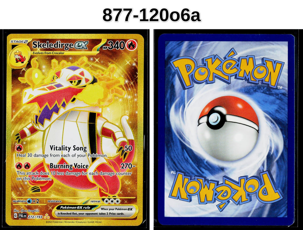 Front + Back scan
