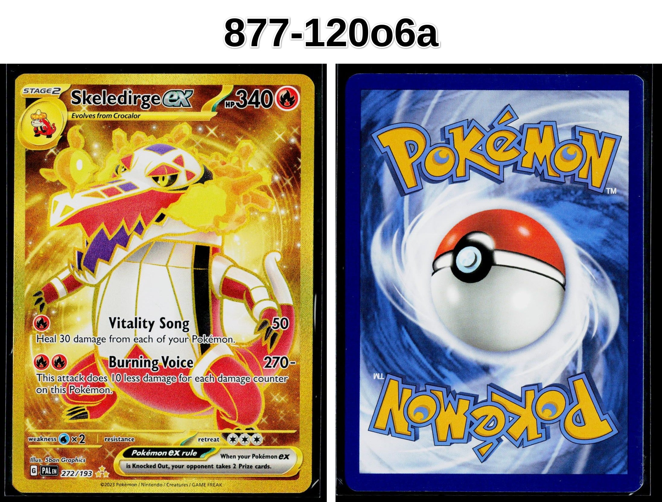 Front + Back scan