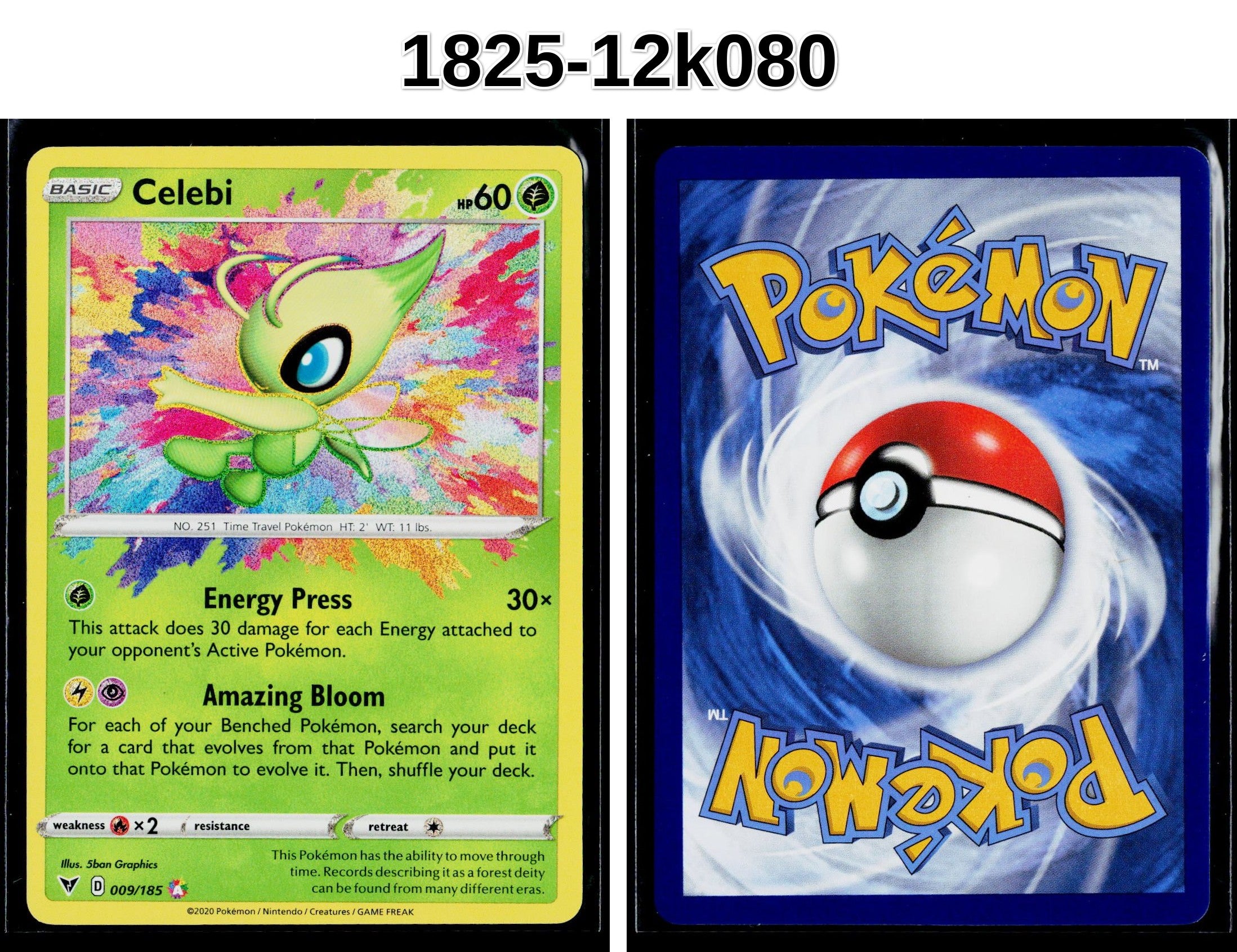 Front + Back scan