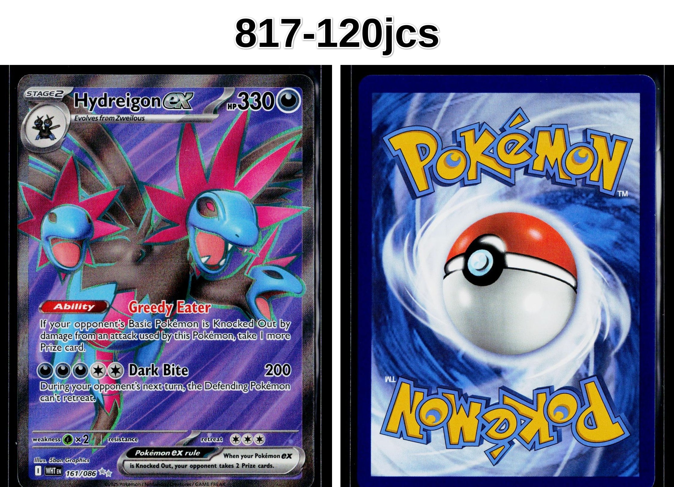Front + Back scan
