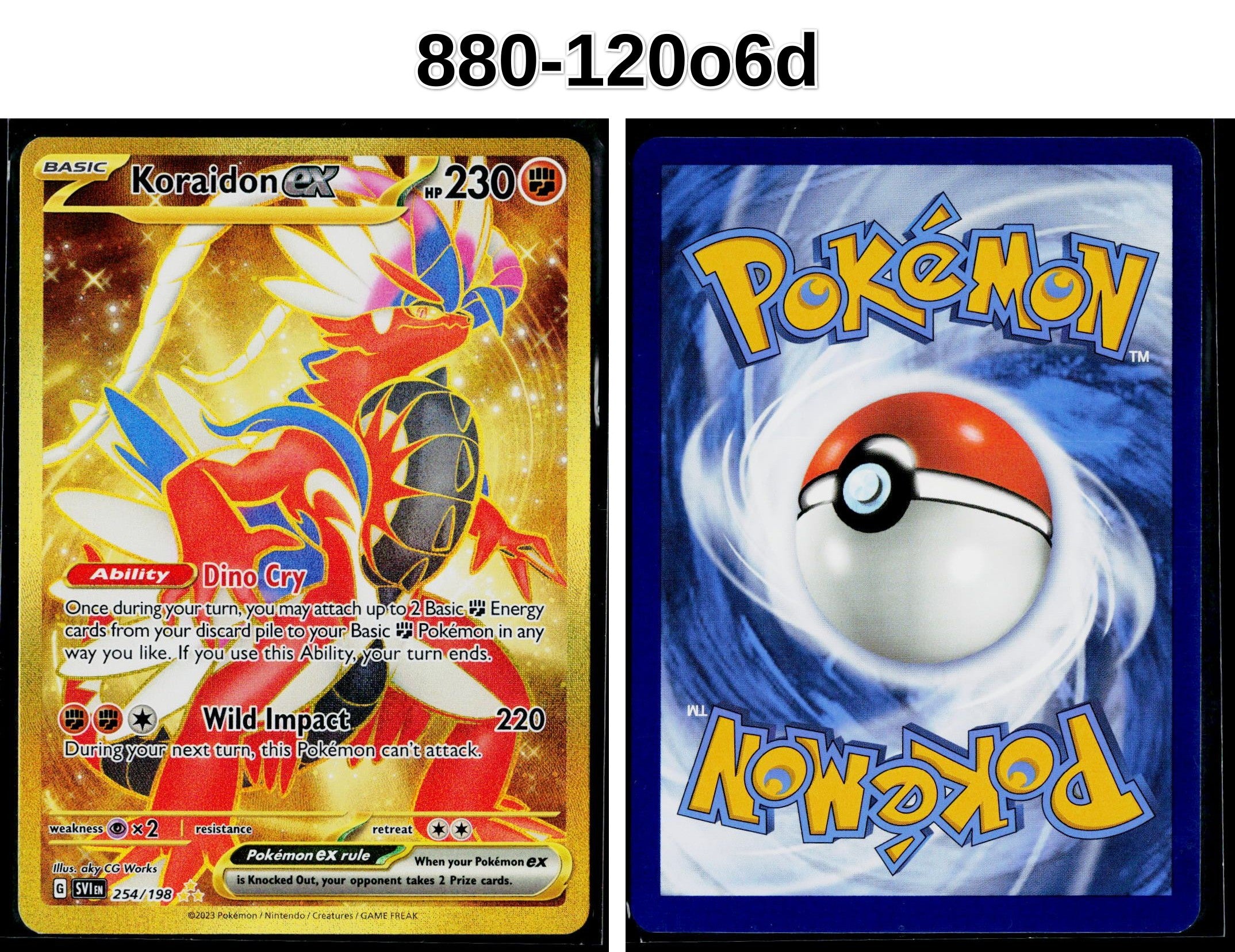 Front + Back scan
