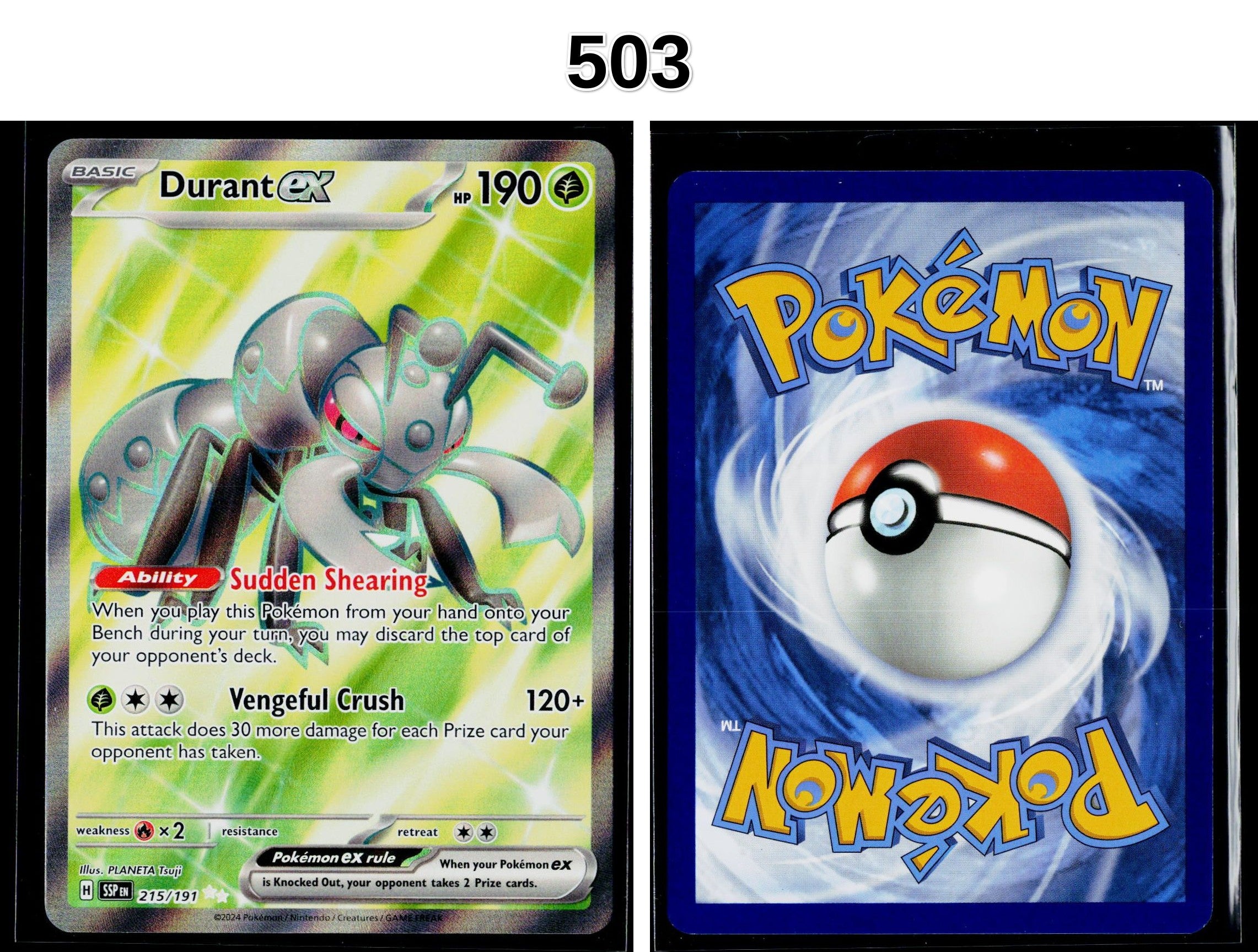 Front + Back scan