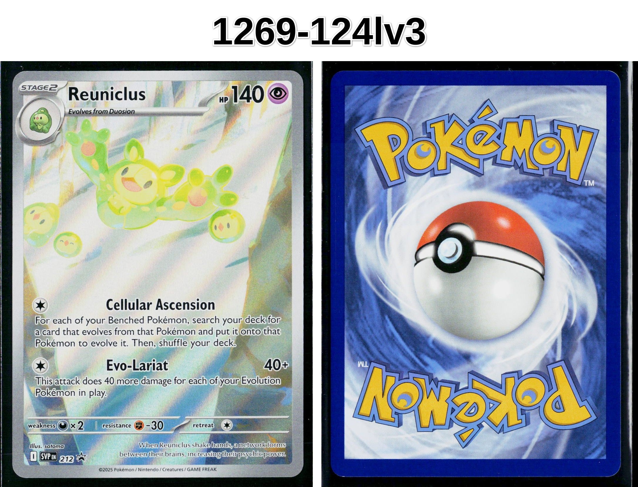 Front + Back scan