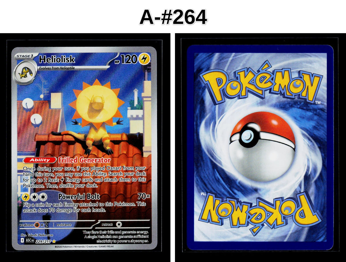 Front + Back scan