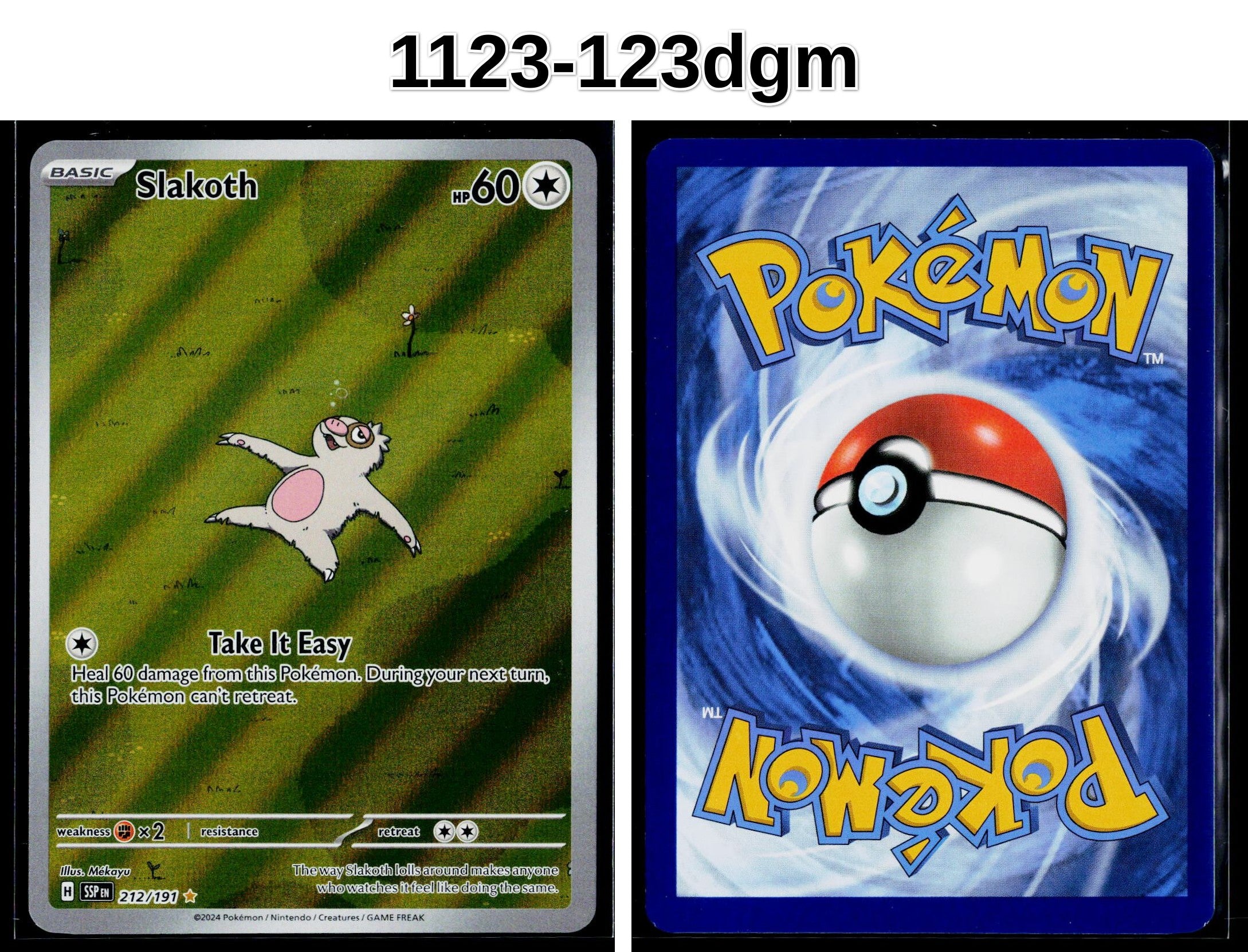 Front + Back scan