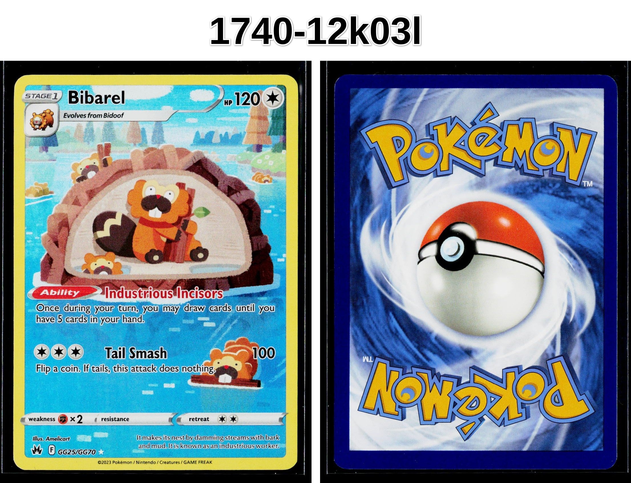 Front + Back scan
