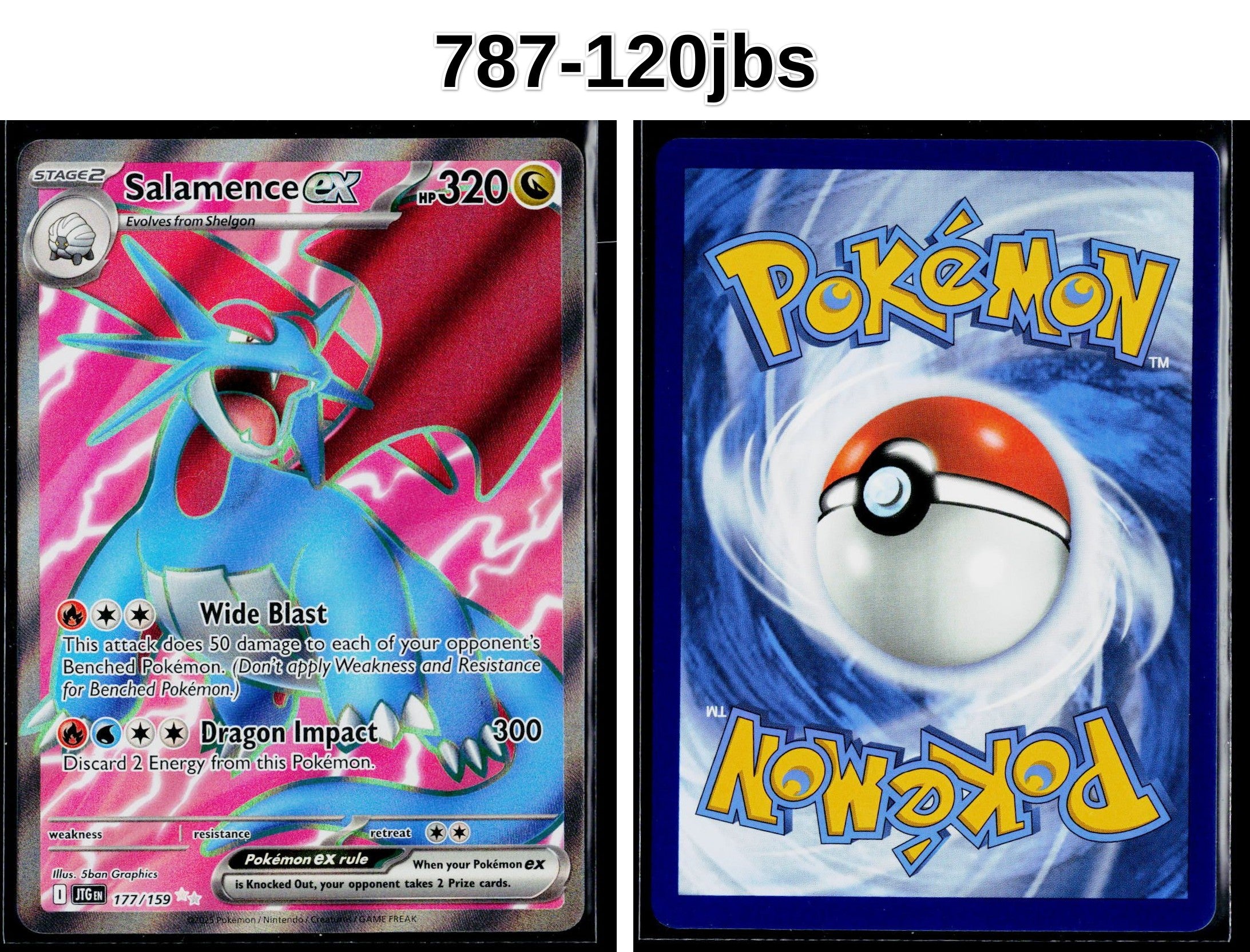 Front + Back scan