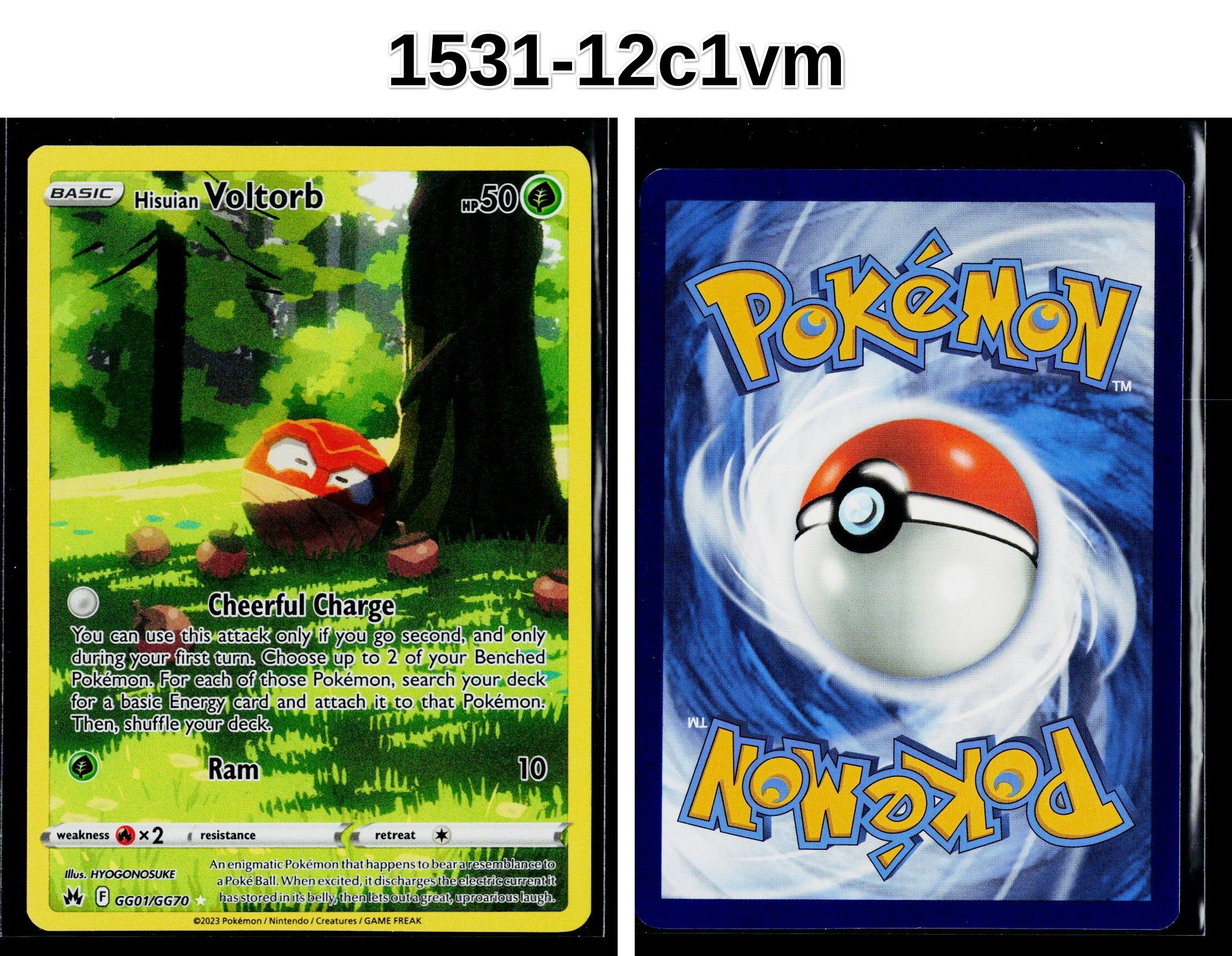 Front + Back scan
