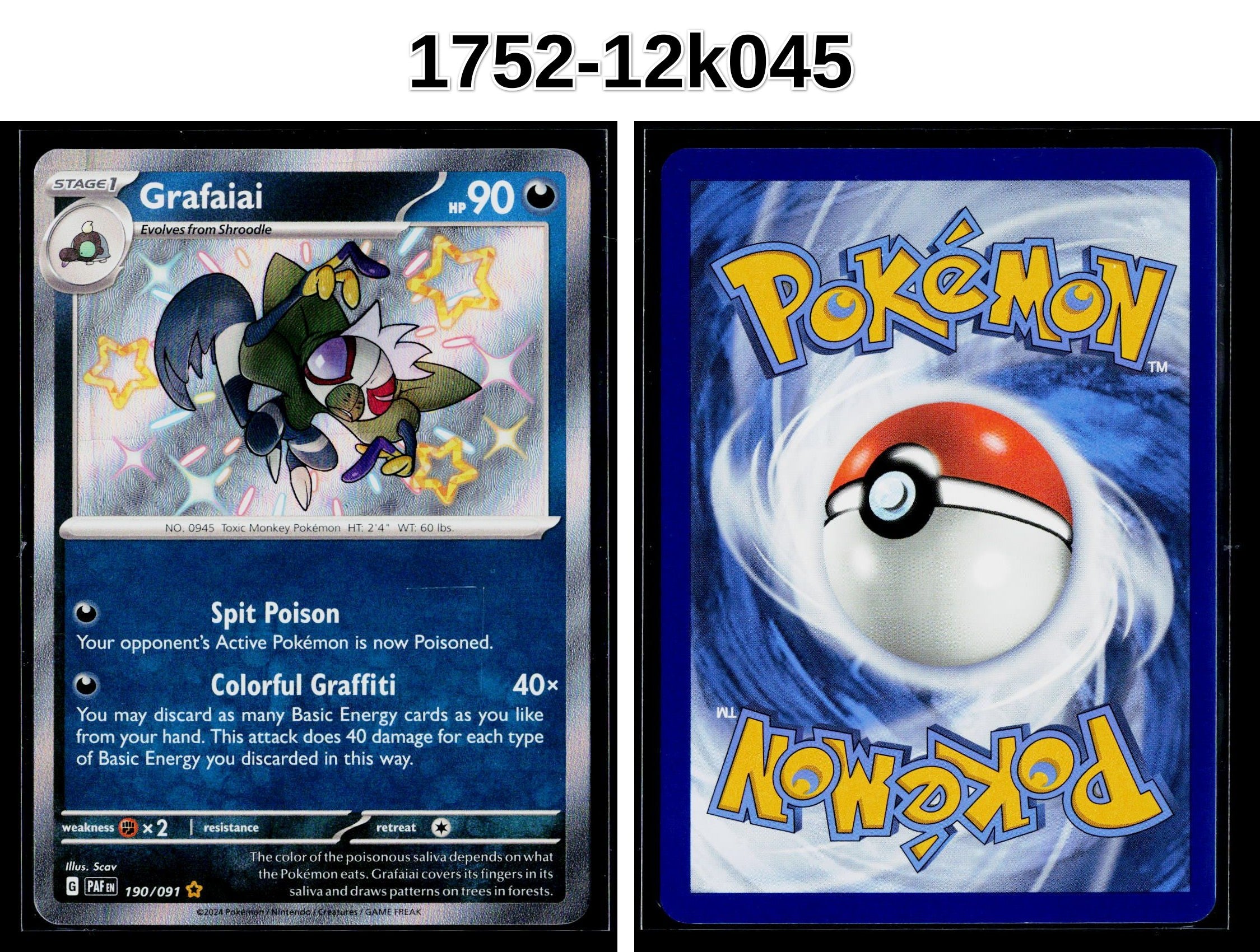 Front + Back scan