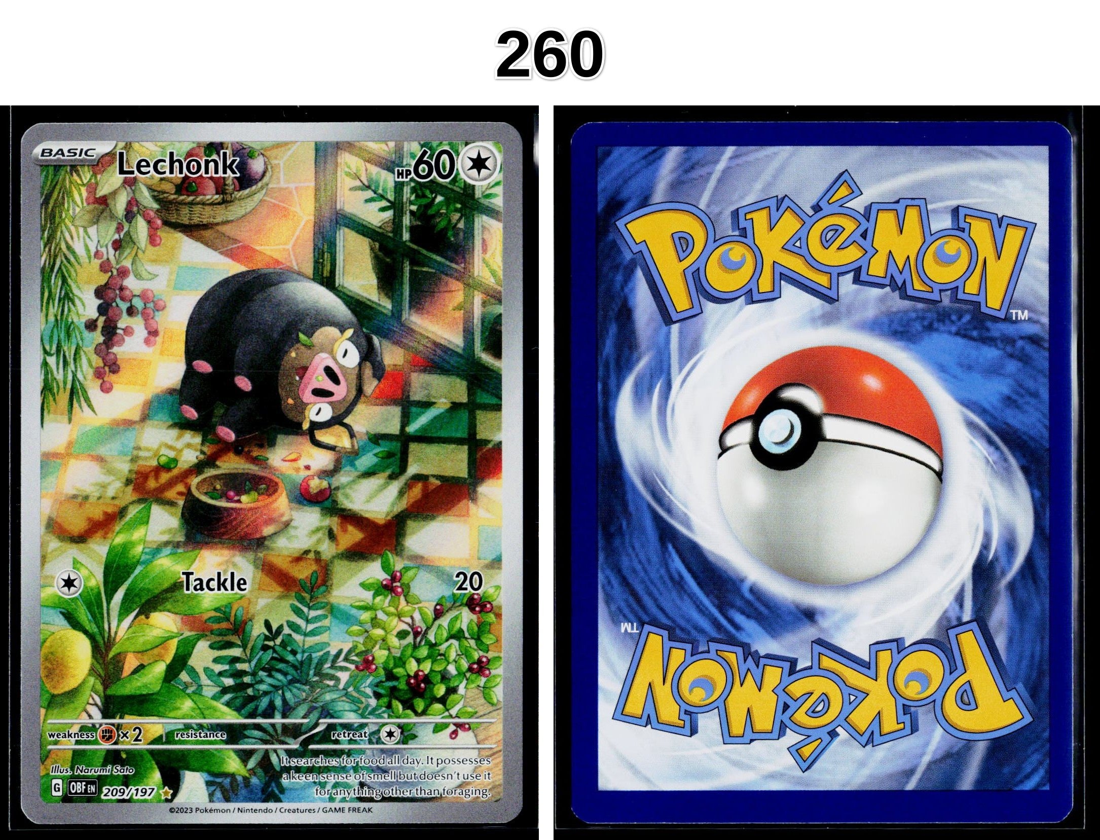 Front + Back scan