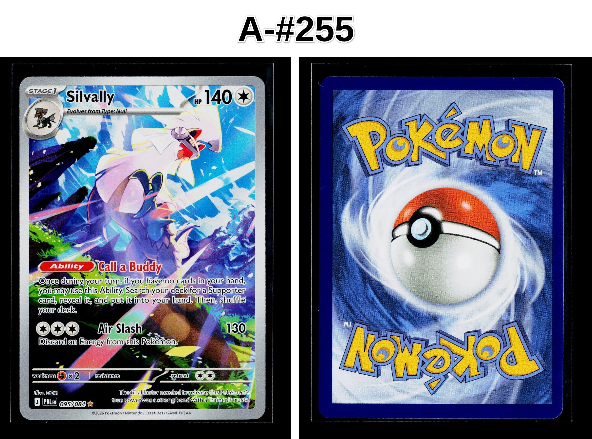 Front + Back scan