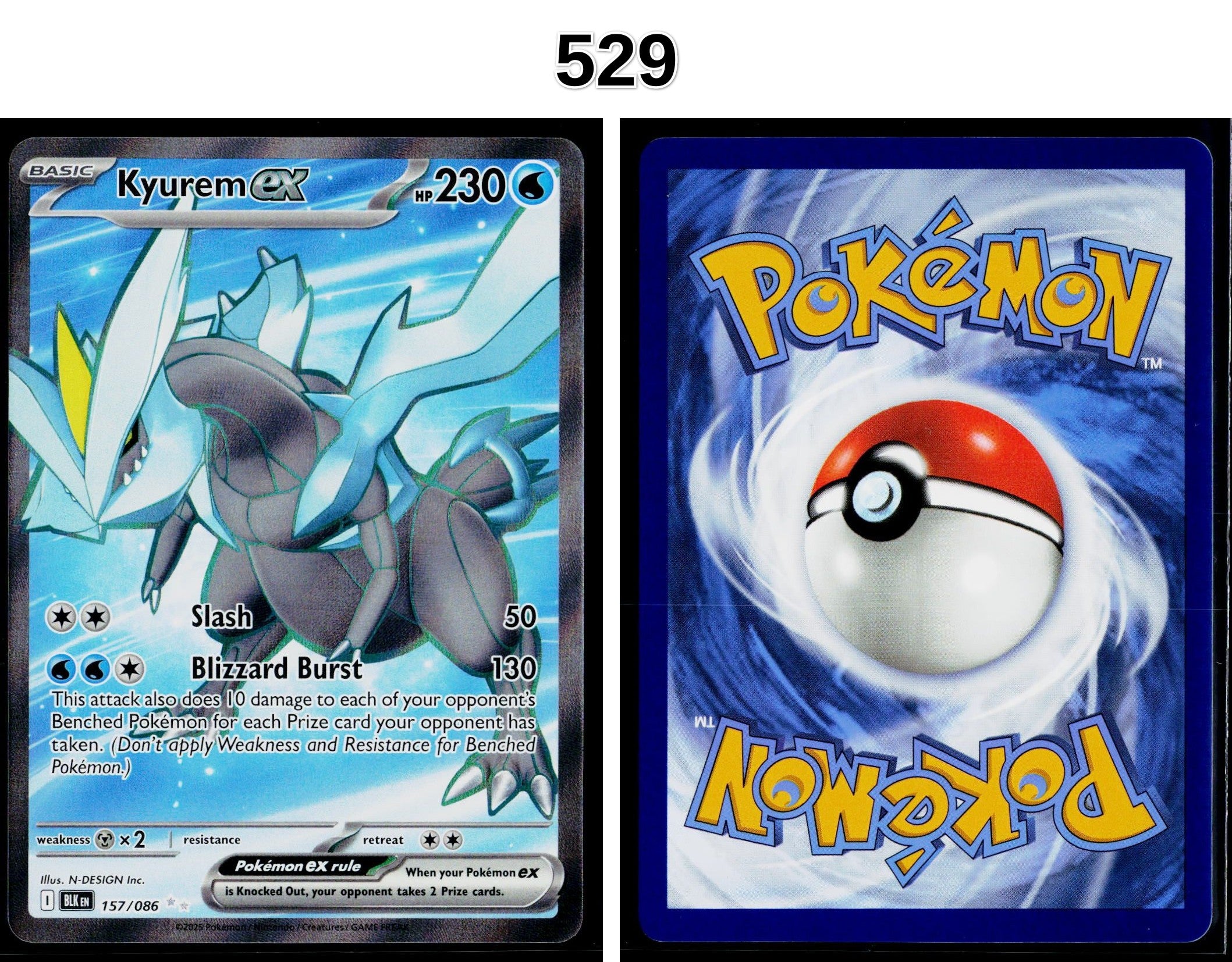 Front + Back scan