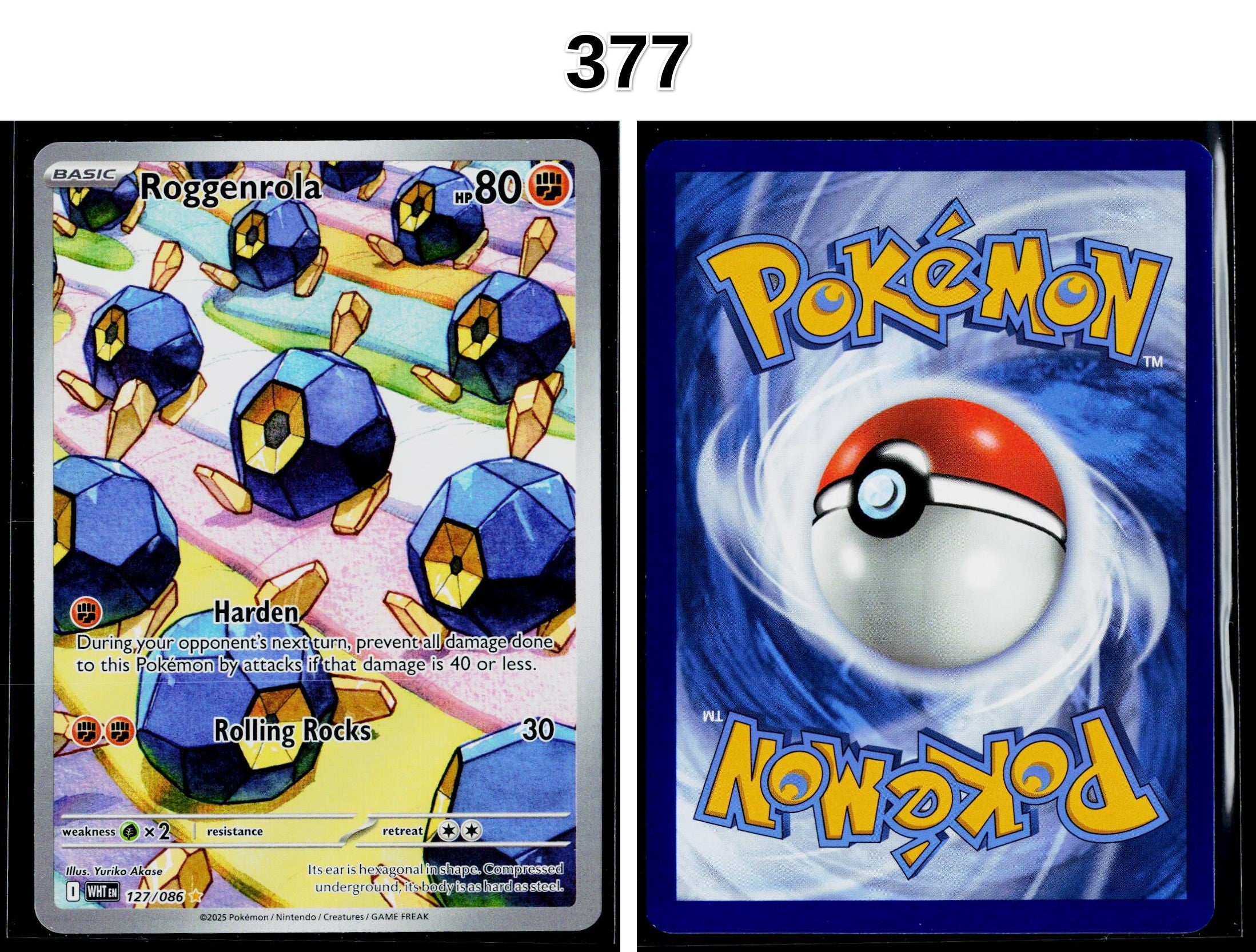Front + Back scan