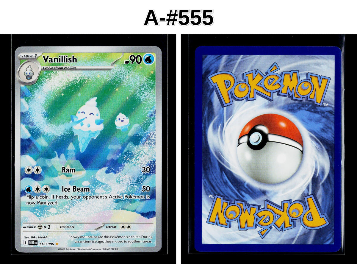 Front + Back scan