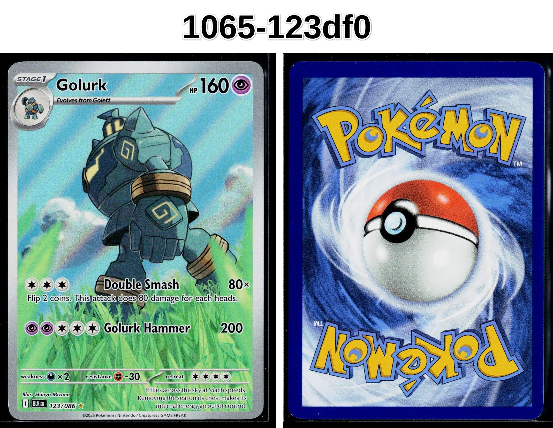 Front + Back scan