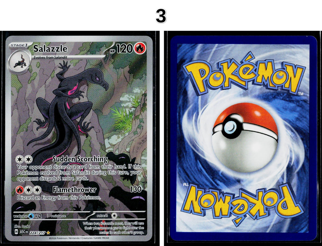 Front + Back scan