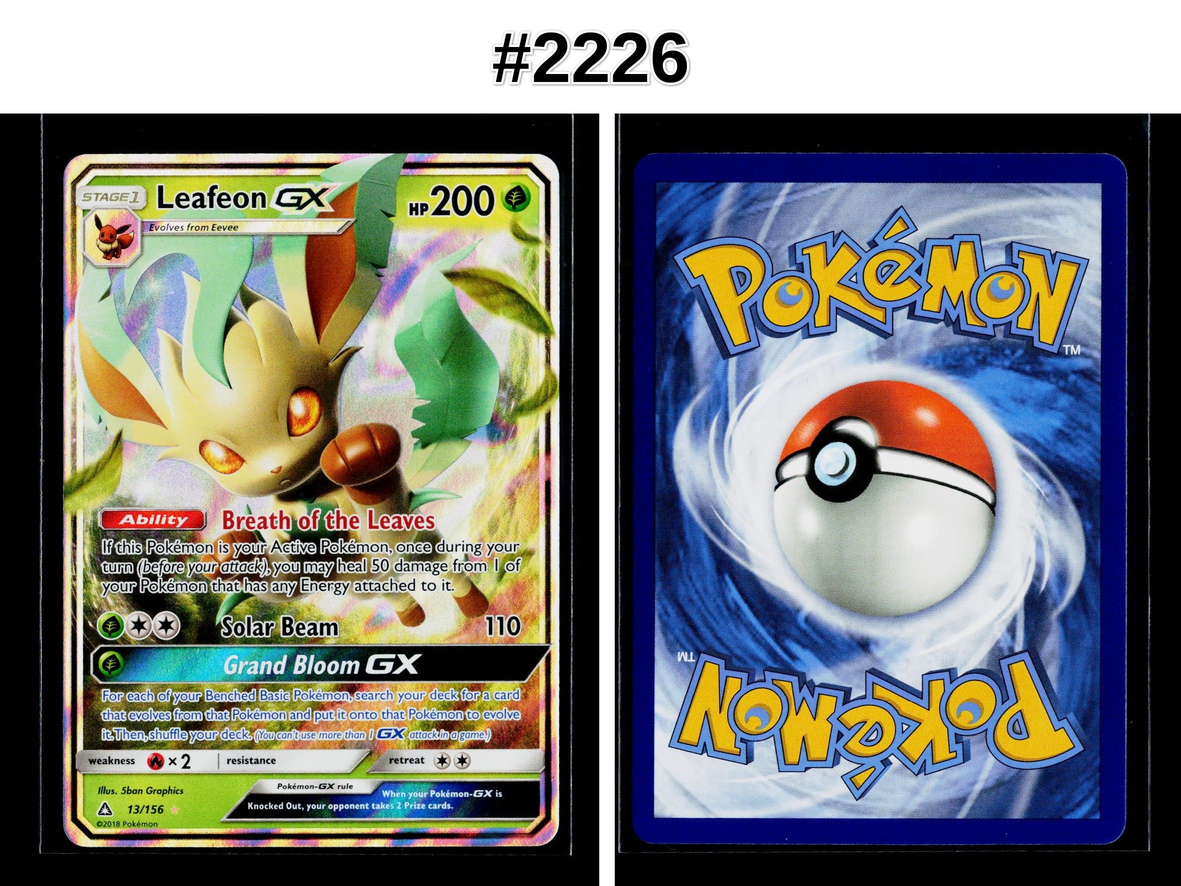 Front + Back scan