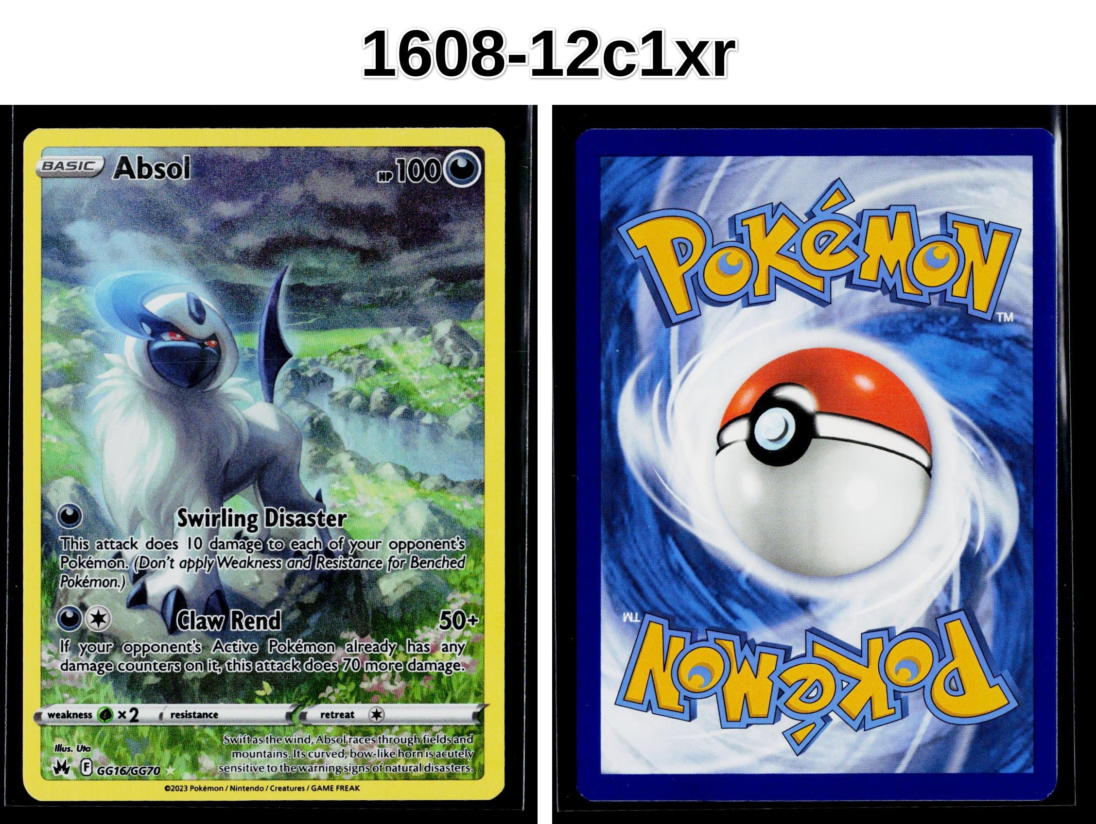 Front + Back scan