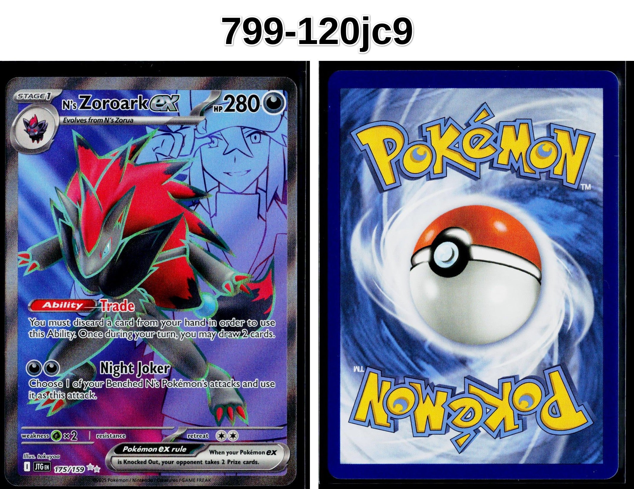 Front + Back scan
