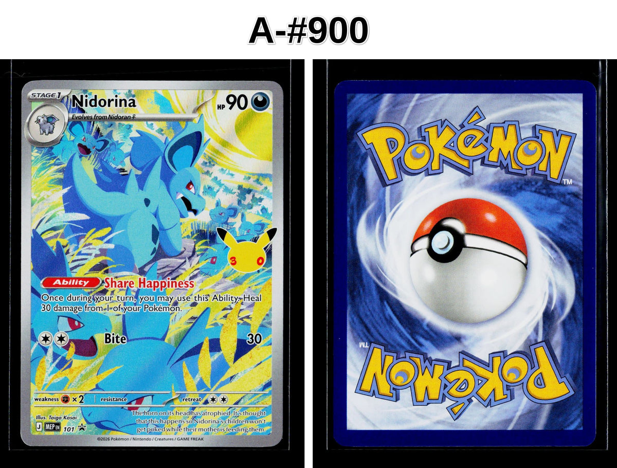 Front + Back scan
