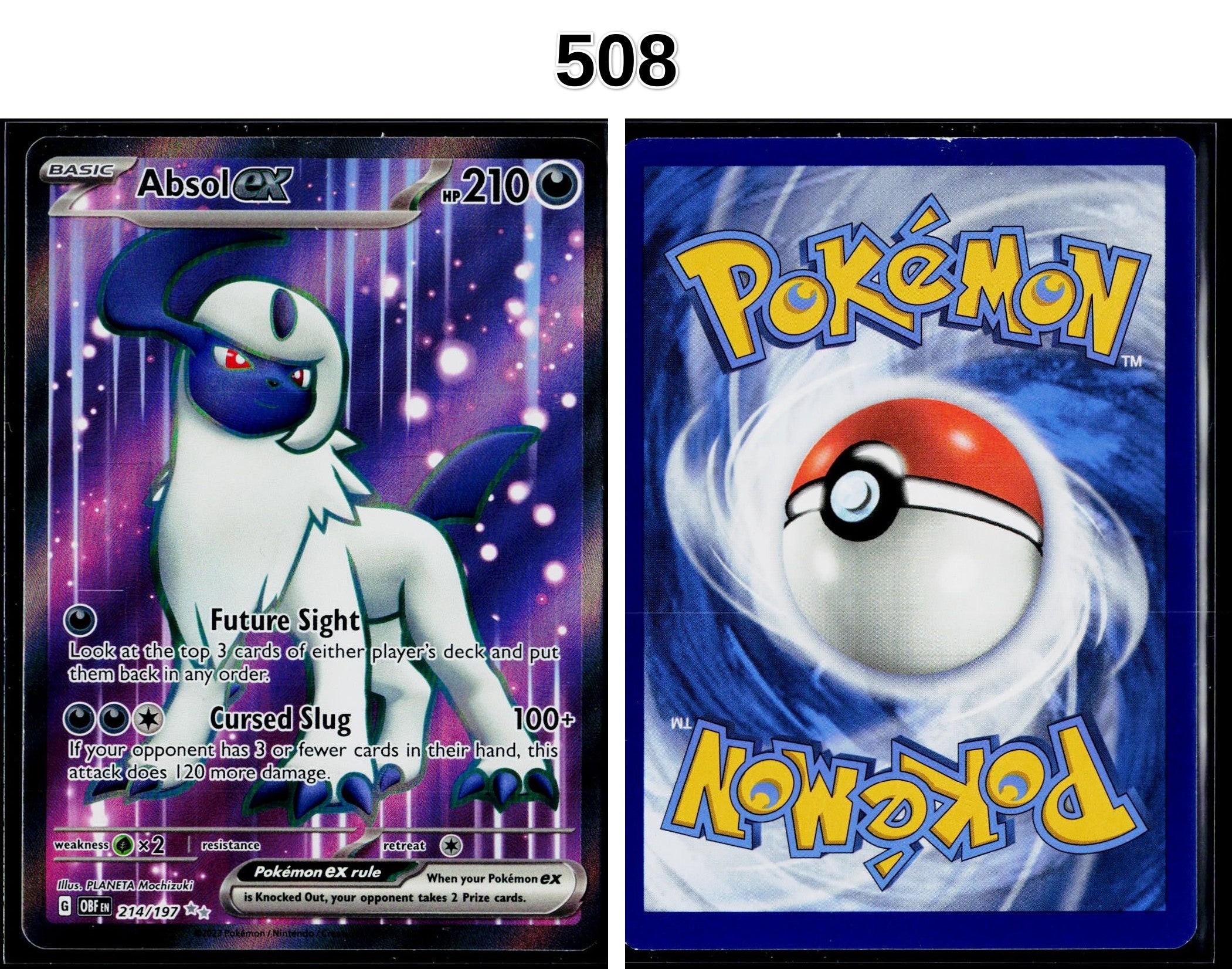 Front + Back scan