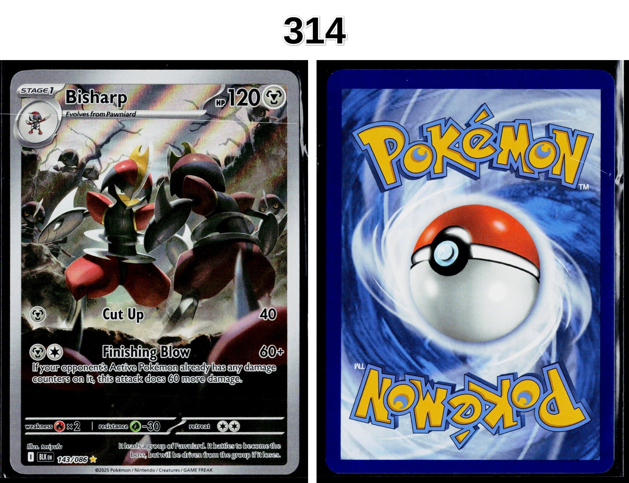 Front + Back scan