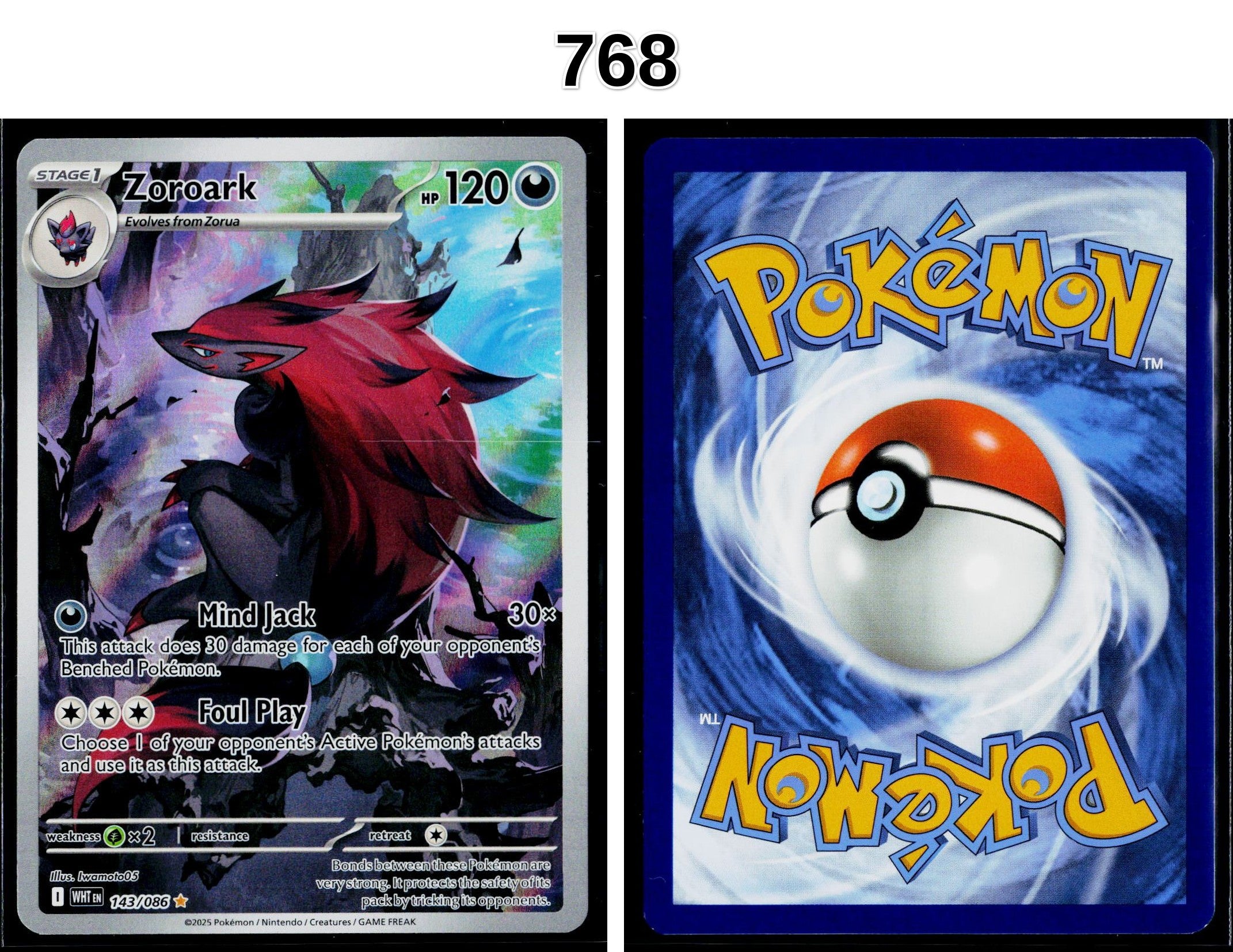Front + Back scan