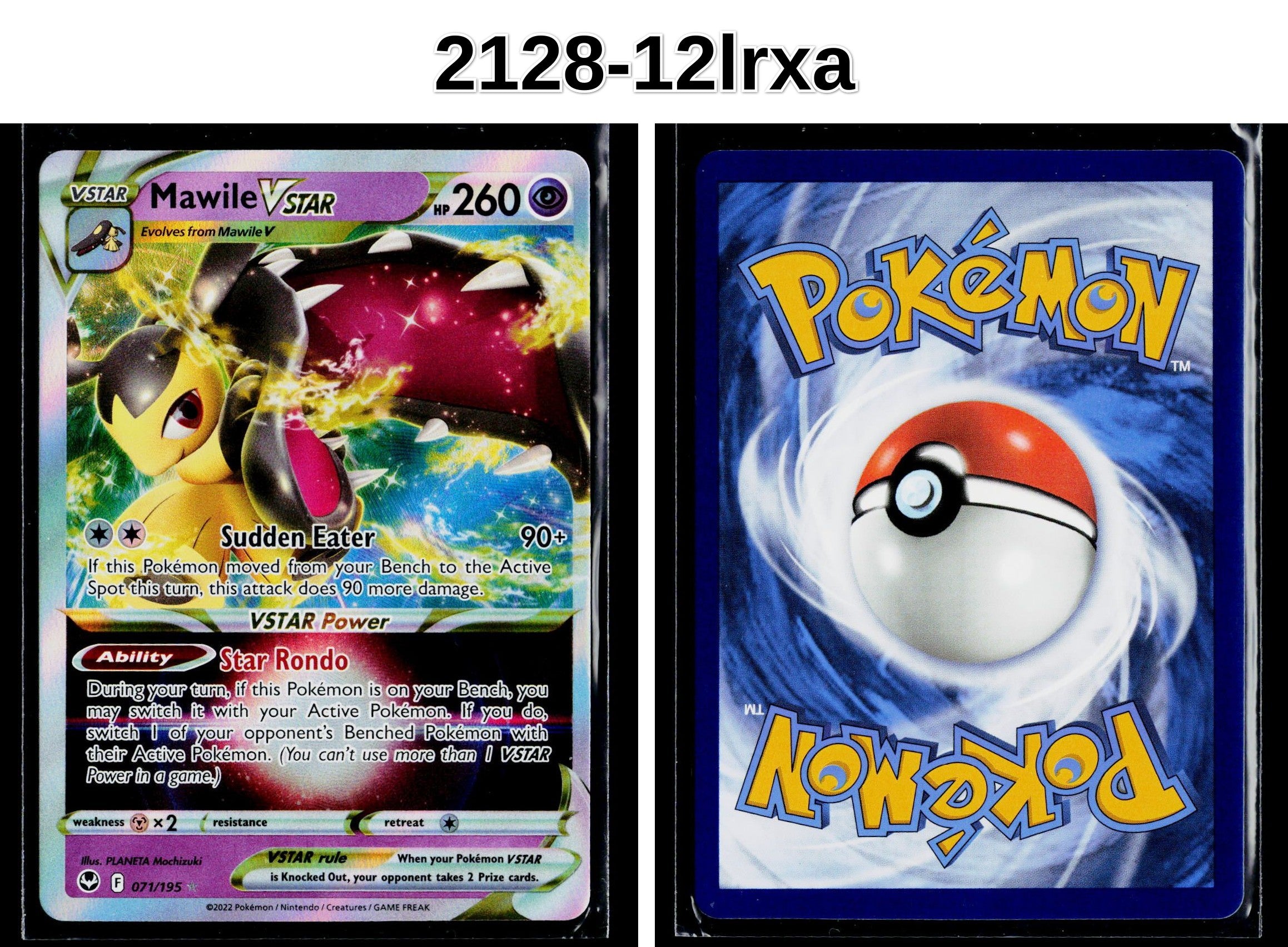 Front + Back scan