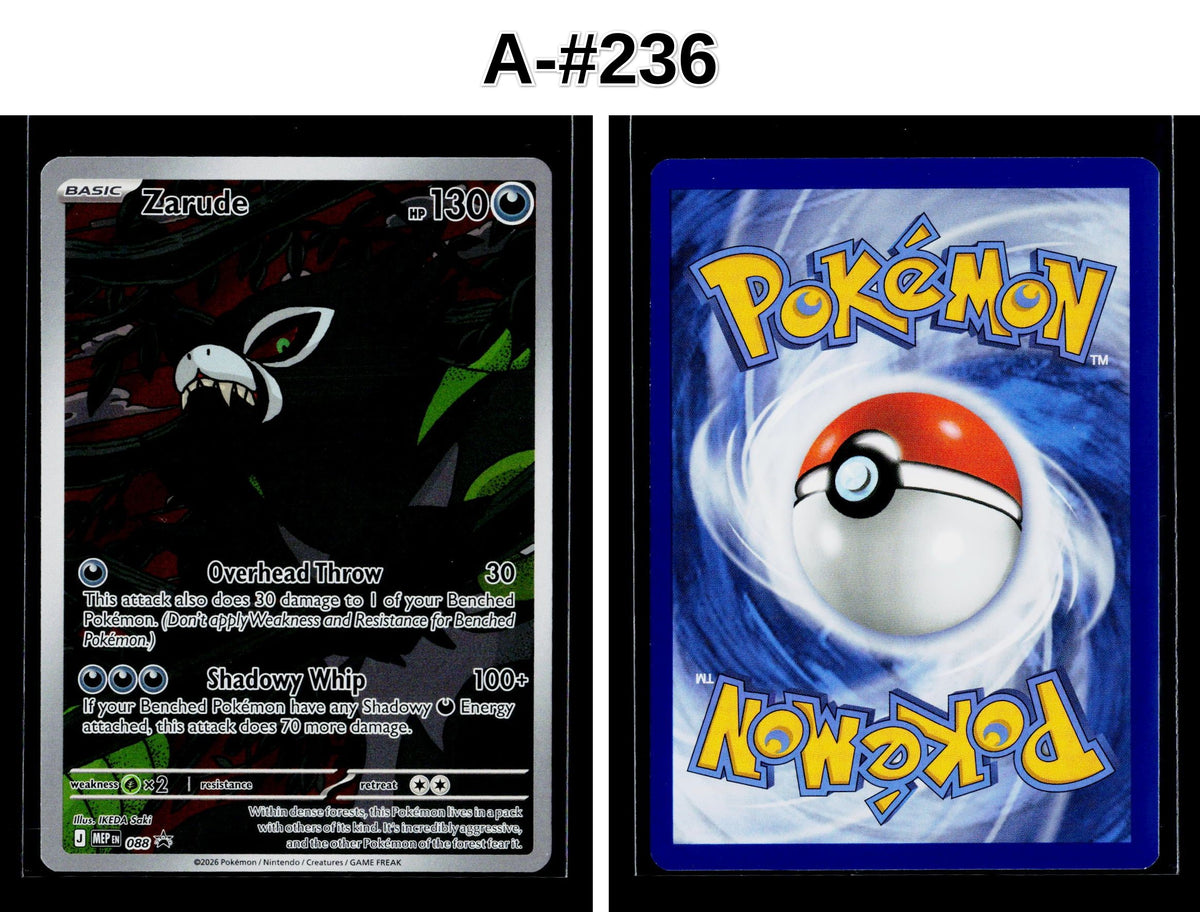 Front + Back scan