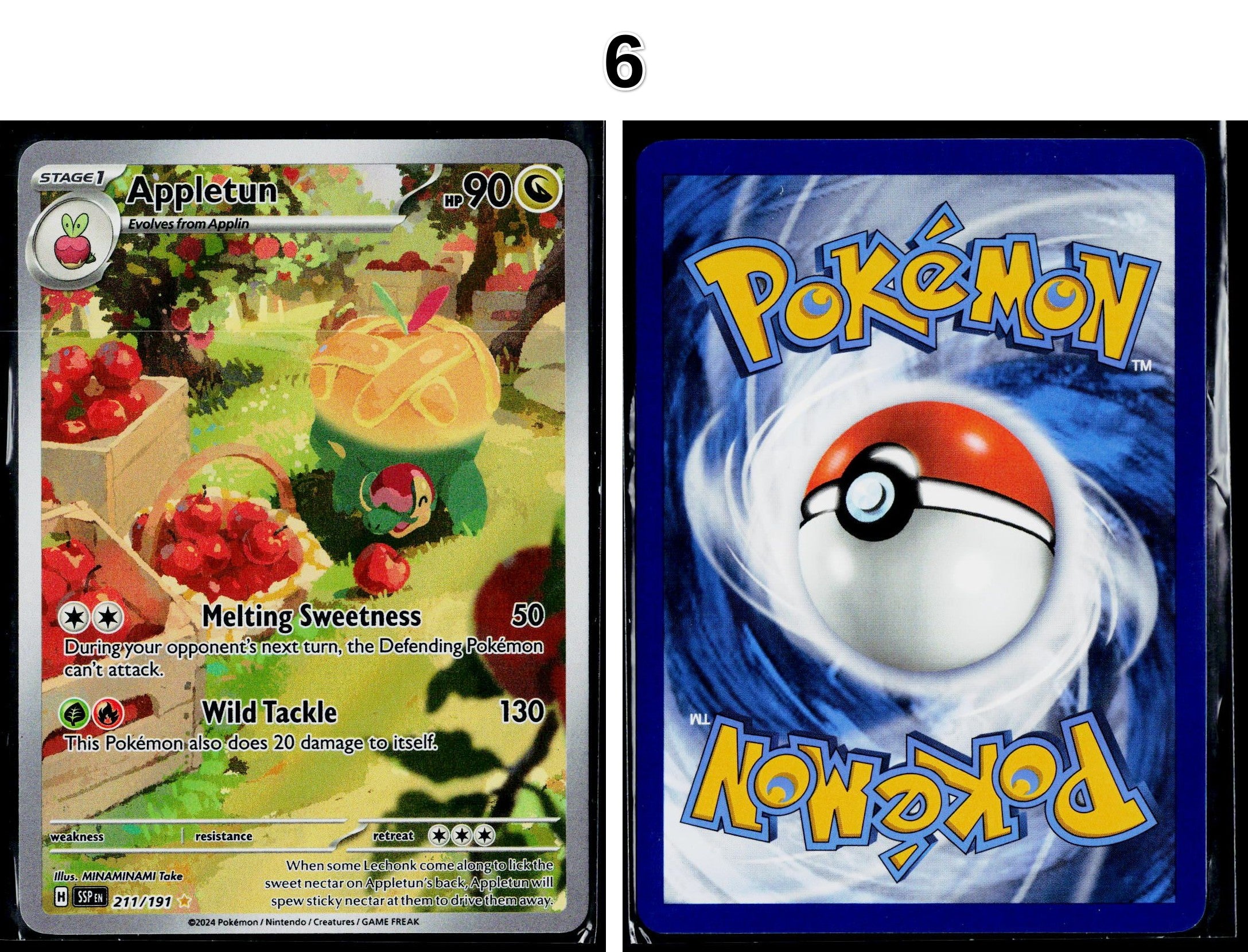 Front + Back scan