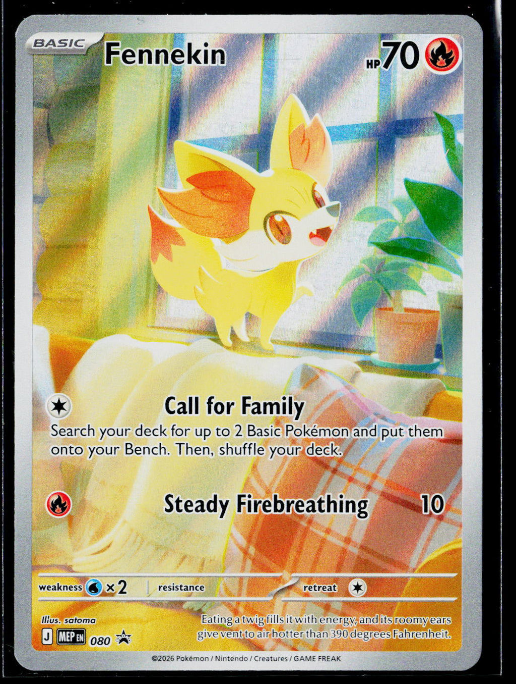Fennekin - 080