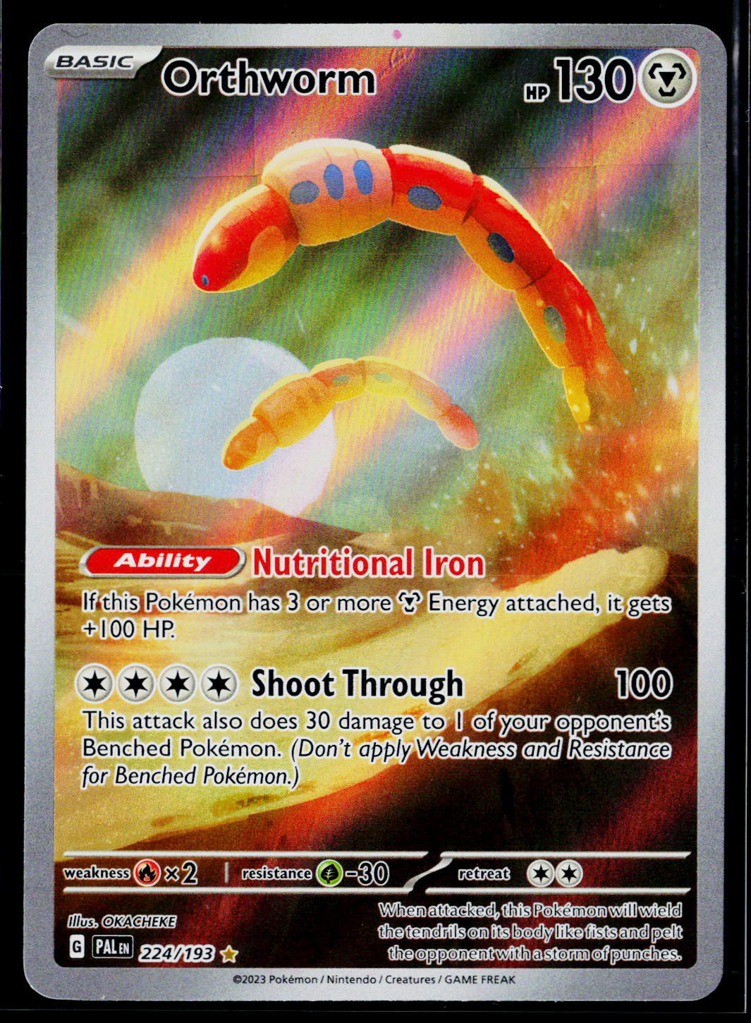 Orthworm - 224/193