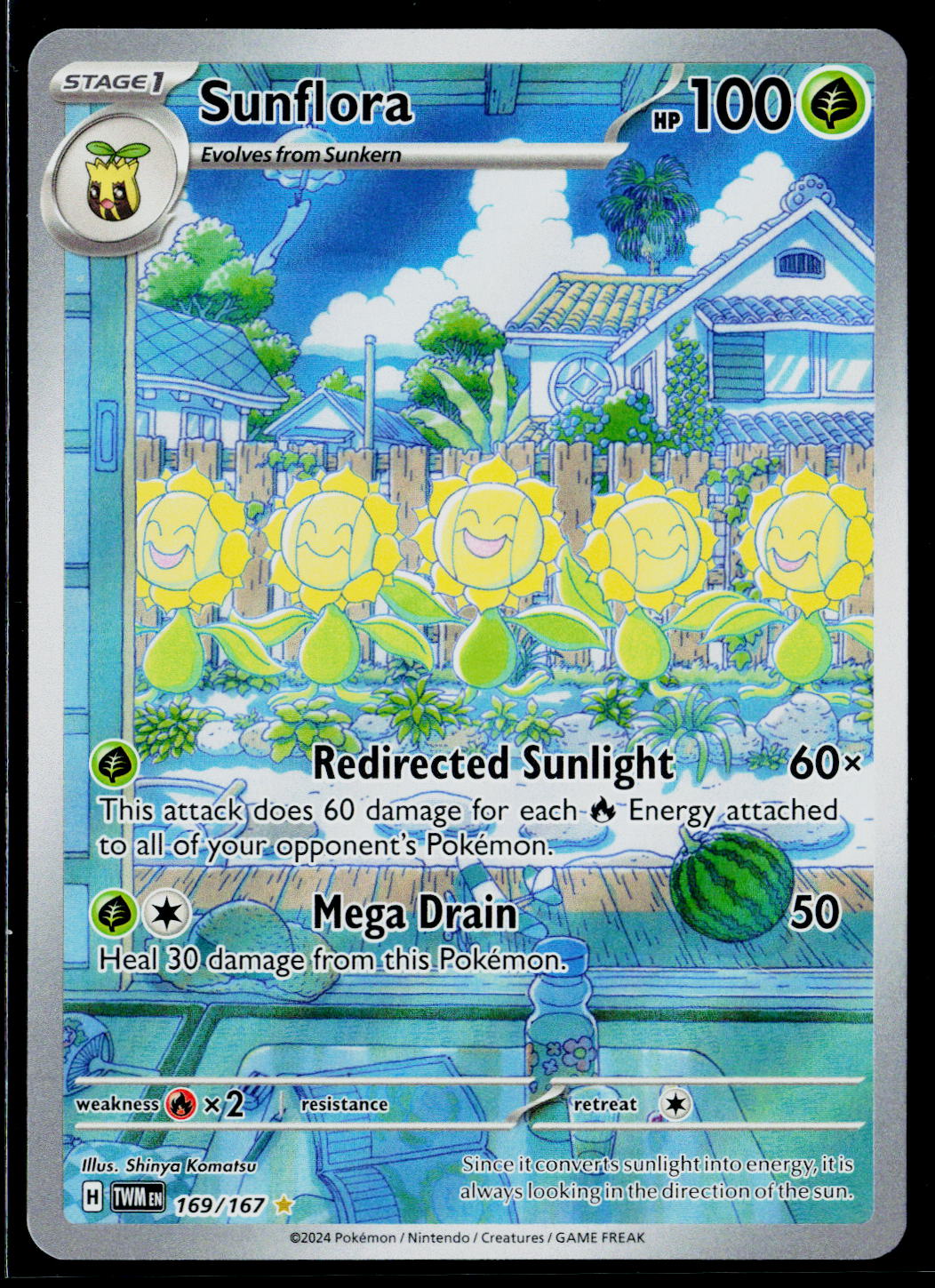 Sunflora - 169/167